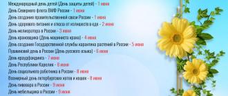В июне россиян ждут дополнительные выходные в честь празднования дня россии