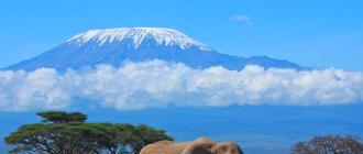 Самая высокая гора в мире – Мауна-Кеа Гора выше эвереста на гавайских островах
